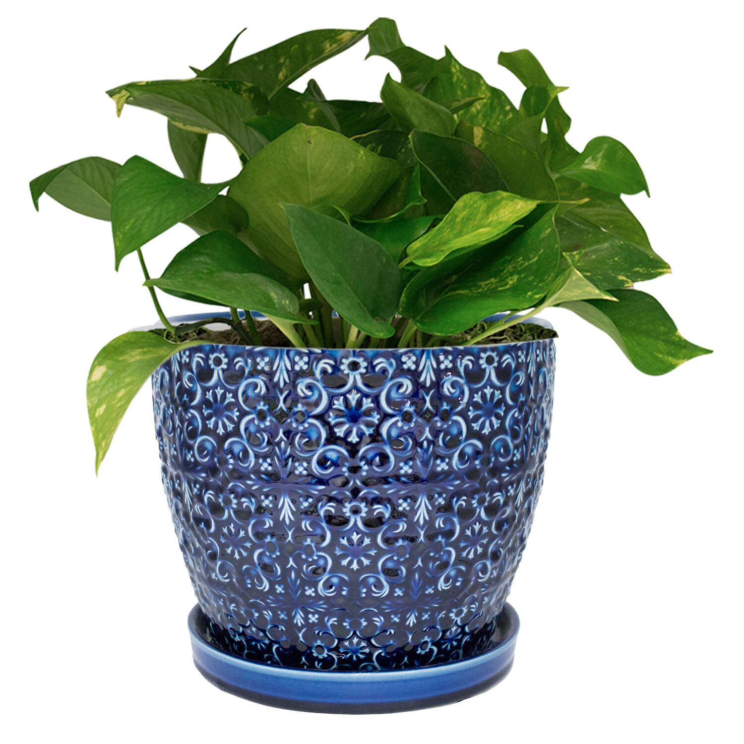 Trendspot Mediterranean 8.5 in. H X 10 in. W X 10 in. D X 10 in. D Ceramic Planter Blue