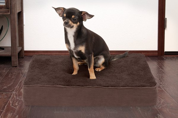 FurHaven Terry Deluxe Memory Foam Pillow Cat and Dog Bed w/Removable Cover