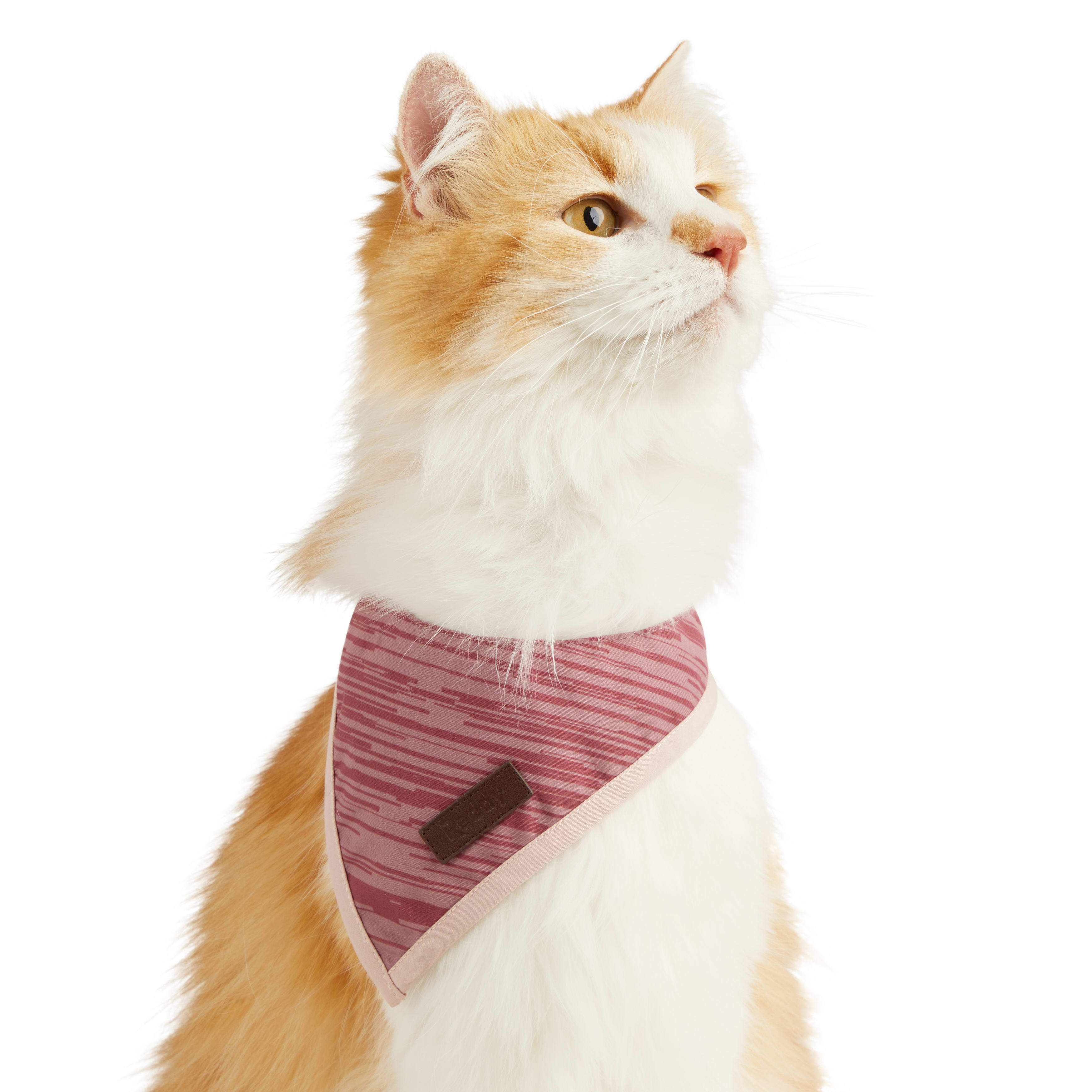 Reddy Rose Stripe Cat Bandana， Small/Medium