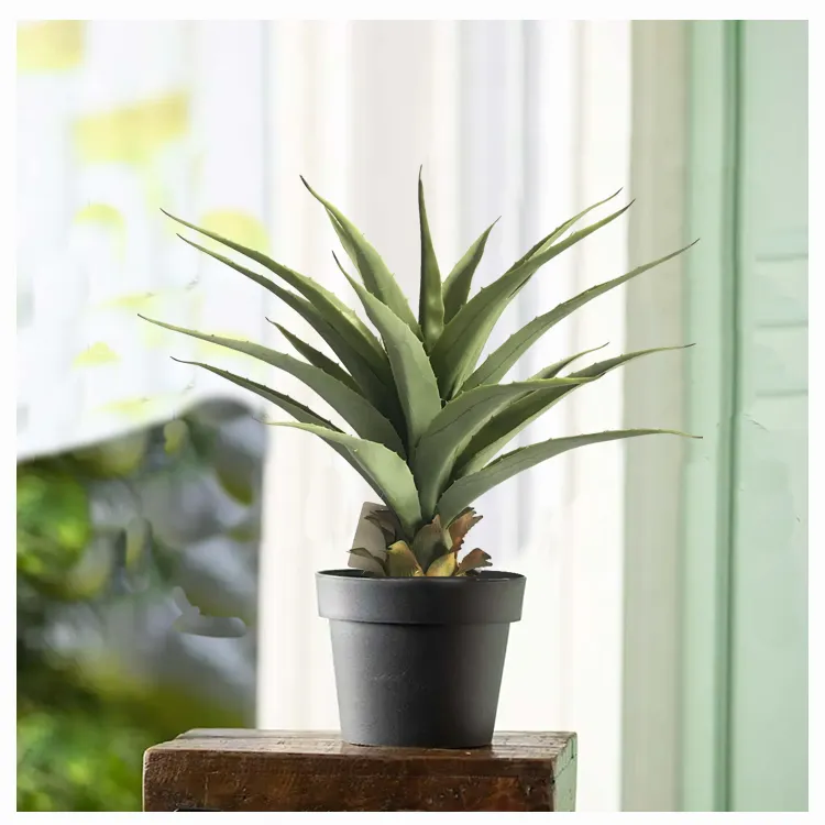 wholesale custom evergreen fake plants agave aloe vera  plant bonsai real touch home decor garden supplies