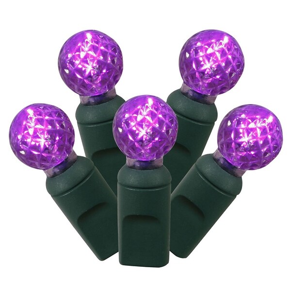 Vickerman 50 Purple G12 LED Light on Green Wire，25' Christmas Single Mold Light Strand