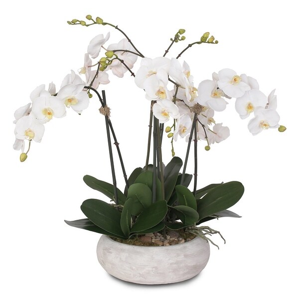 Two Tone White Silk Phalaenopsis Orchids Arrangement in Pot