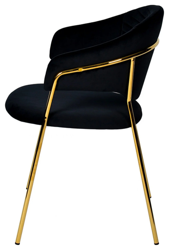 Tilly Modern Black Velvet and Gold Dining Chair  Set of 2   Midcentury   Dining Chairs   by V.S.D Furniture  Houzz