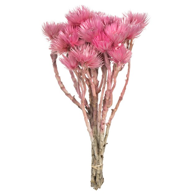 Natural Everlasting Flowers Dried