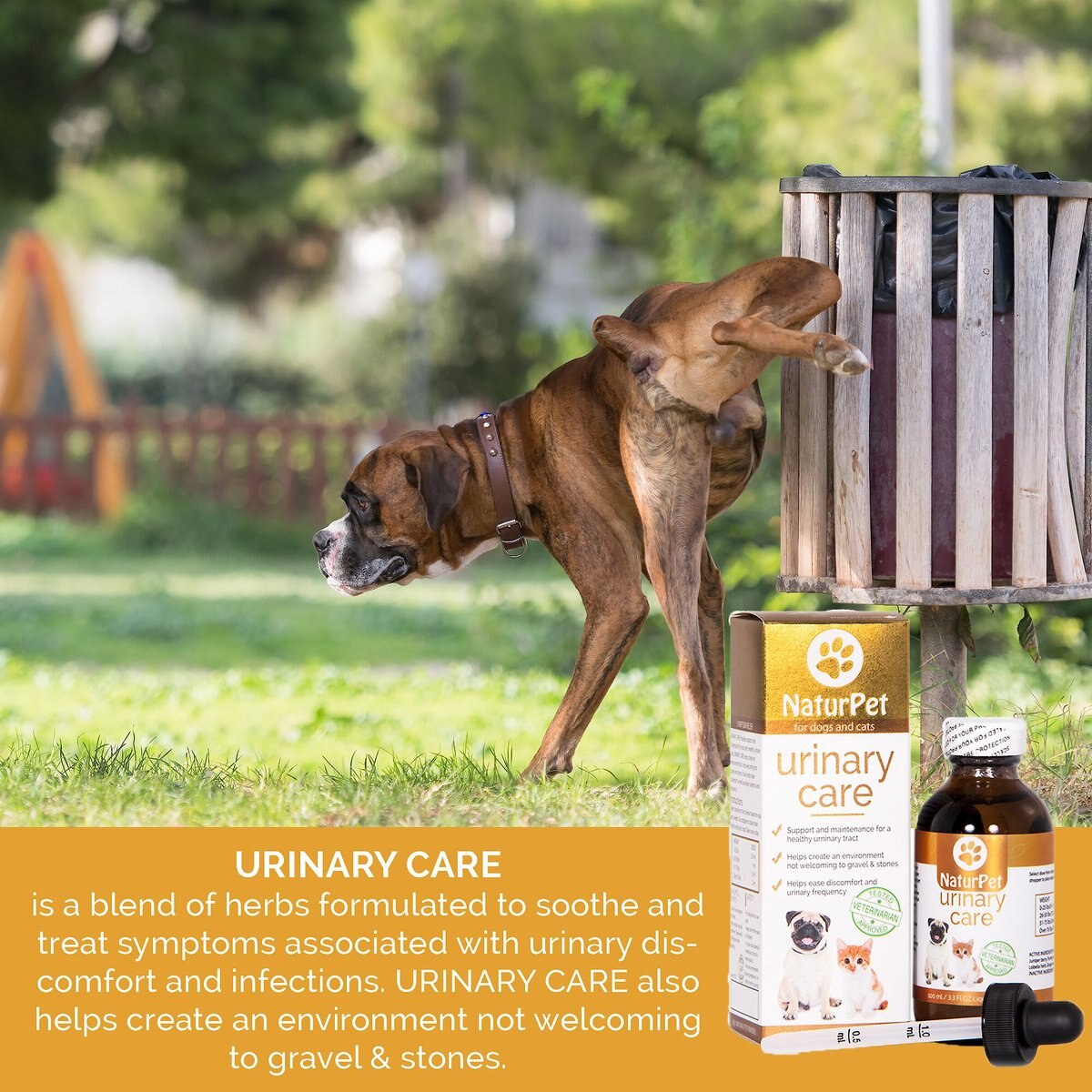 NaturPet Urinary Care Pet Supplement