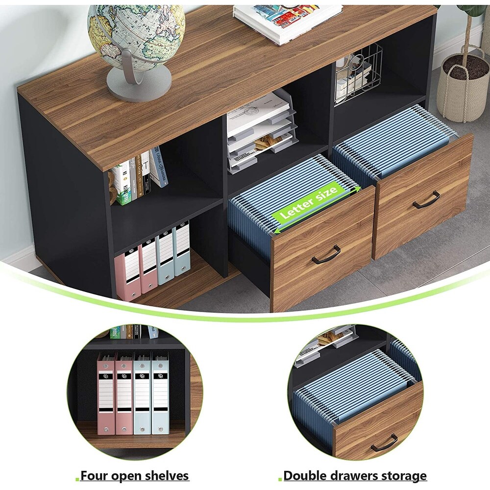 Lateral File Cabinets with 2 Drawers and Storage Shelves  Mobile Printer Stand Filling Cabinet for Home Office  Letter Size