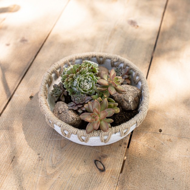 Woven Rim Decorative Bowl White Terracotta amp Jute By Foreside Home amp Garden