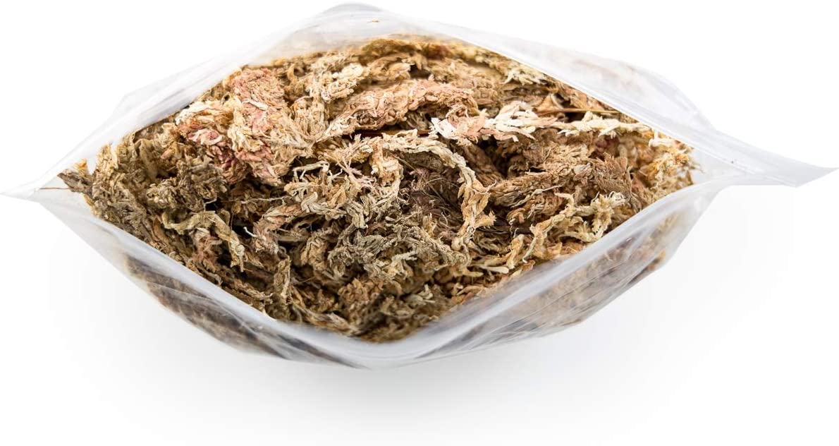 Josh's Frogs Chilean Sphagnum Moss (100g bag)