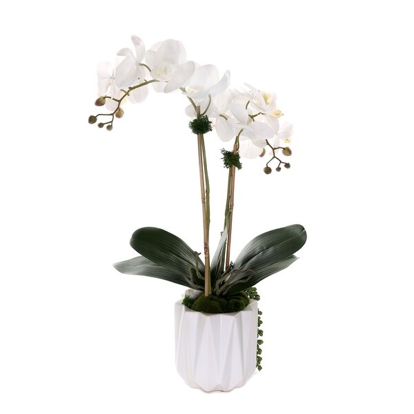 Real Touch Phalaenopsis Orchids with Succulent in White Pot