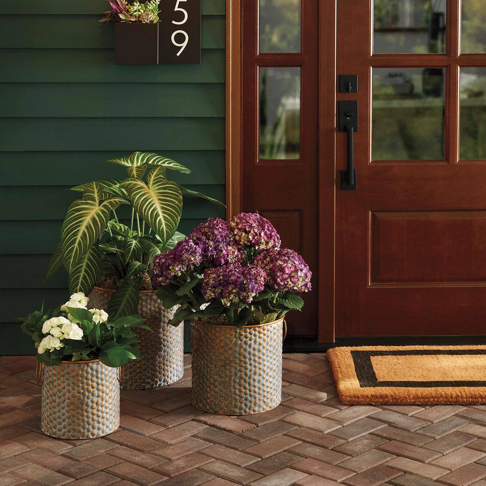 Pavestone Holland 7.87 in. L x 3.94 in. W x 1.77 in. H 45 mm Old Town Blend Concrete Paver (672-Piece145 sq. ft.Pallet) 22099