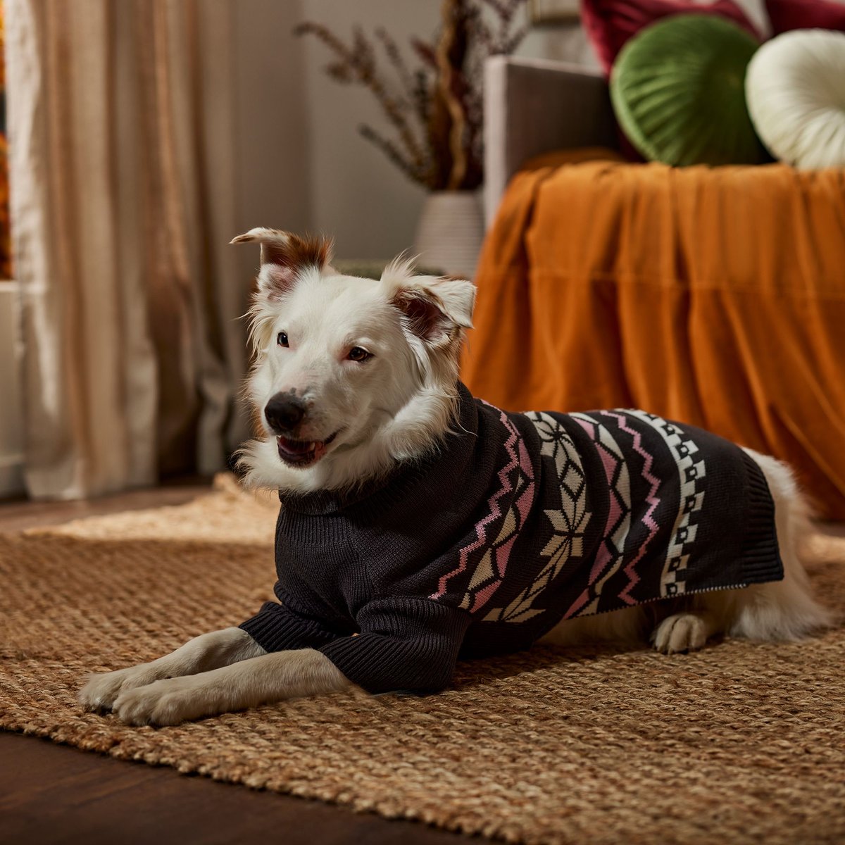 Frisco Gray Chevron Print Dog and Cat Sweater