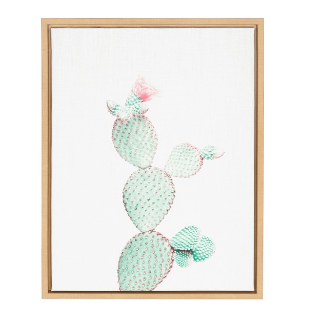 X 24 quot Sylvie Prickly Pear Framed Canvas By Simon Te Tai Natural Kate And Laurel