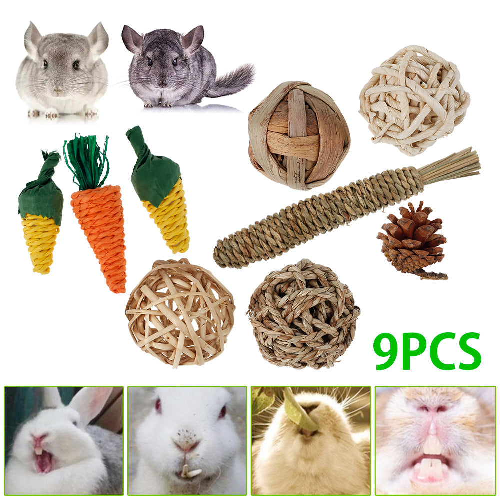 MLfire 9pcs Hamster Chew Toys Pet Teeth Care Molar Toy for Hamster Rat Rabbit Chinchilla Squirrel Small Animals