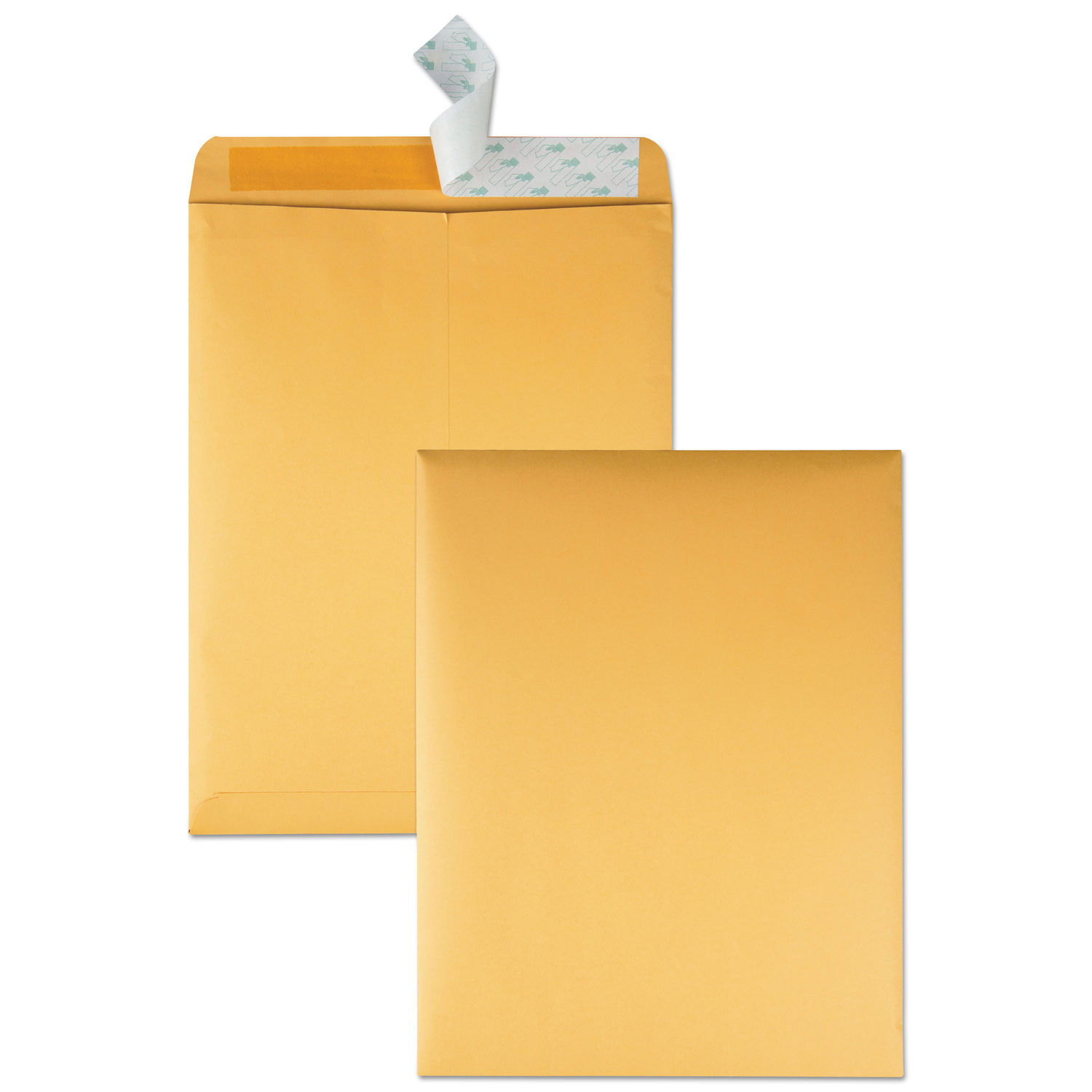 Redi-Strip Catalog Envelope by Quality Parkandtrade; QUA44762