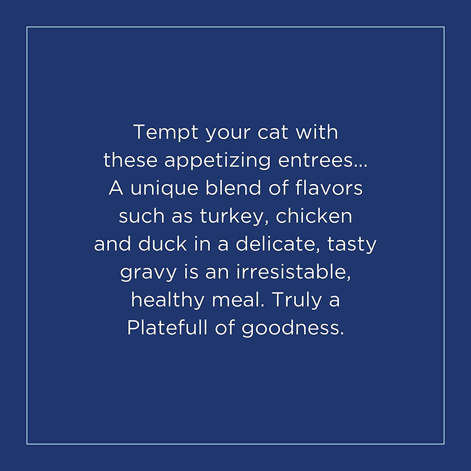 Natural Balance Platefulls Turkey， Chicken and Duck Formula in Gravy Grain-Free Cat Food Pouches 3-oz pouch case of 24