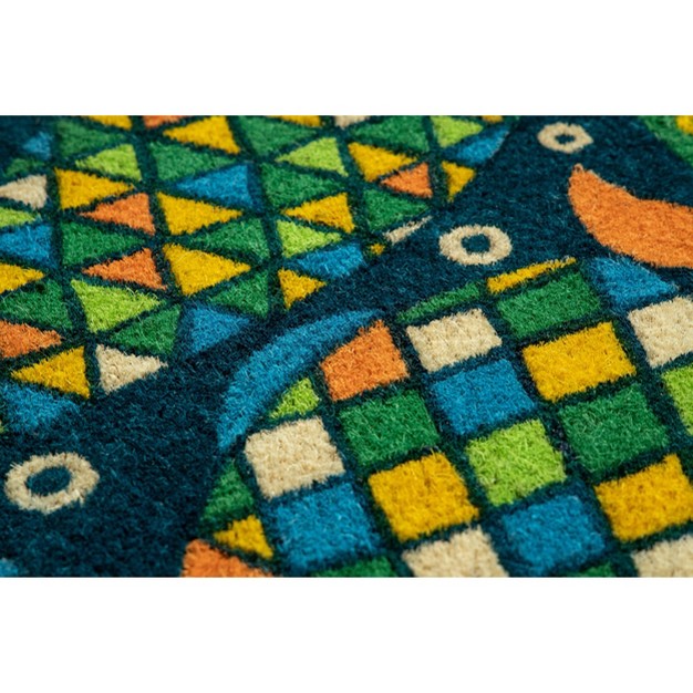 X 2 x27 4 quot Fancy Fish Indoor outdoor Coir Doormat Entryways