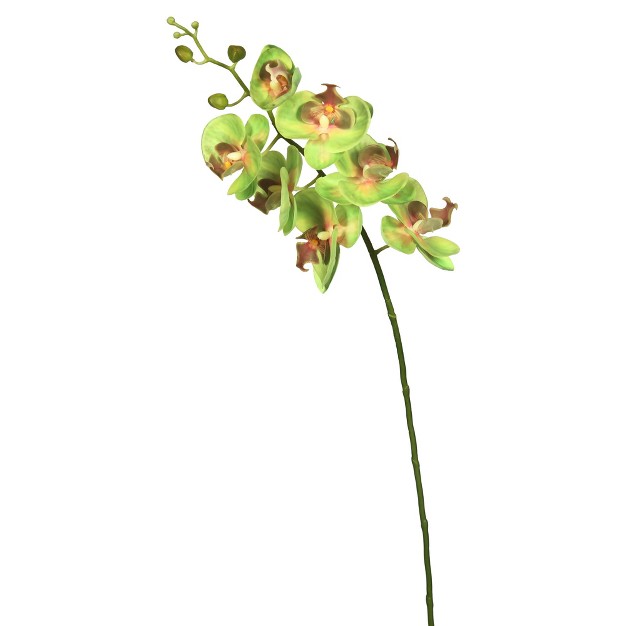 Real Touch Orchid Artificial Floral Stem