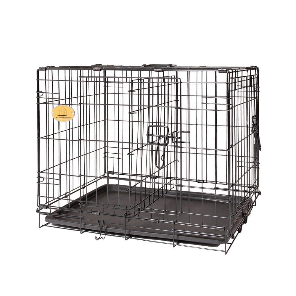 KennelMaster 24 in. x 17 in. x 19 in. Small Wire Dog Crate FKC241719