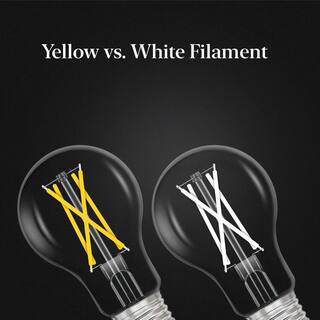 EcoSmart 60-Watt Equivalent A19 Dimmable White Filament CEC Clear Glass LED Light Bulb Daylight (2-Pack) A1960950CAWFILECP2