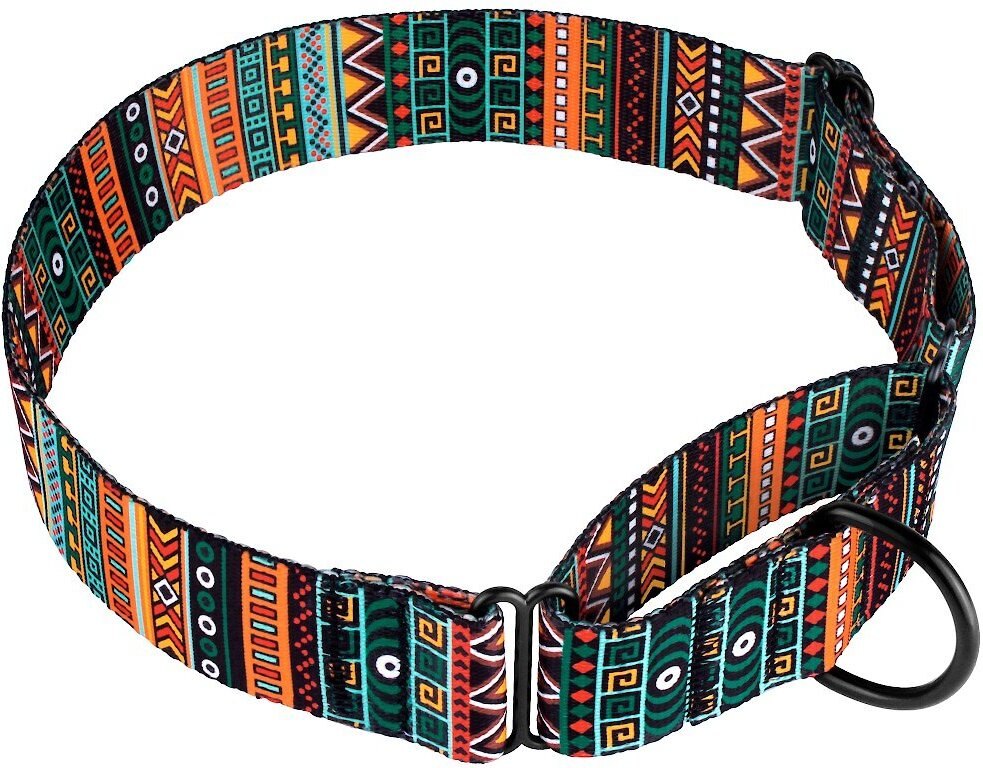 CollarDirect Tribal Pattern Aztec Design Nylon Martingale Dog Collar