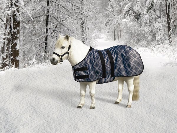 Kensington Protective Products Signature Mini Light Weight Horse Turnout