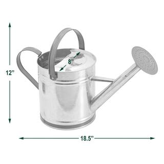 Arcadia Garden Products Classic 1.3 Gal. Chrome Metal Watering Can WC12