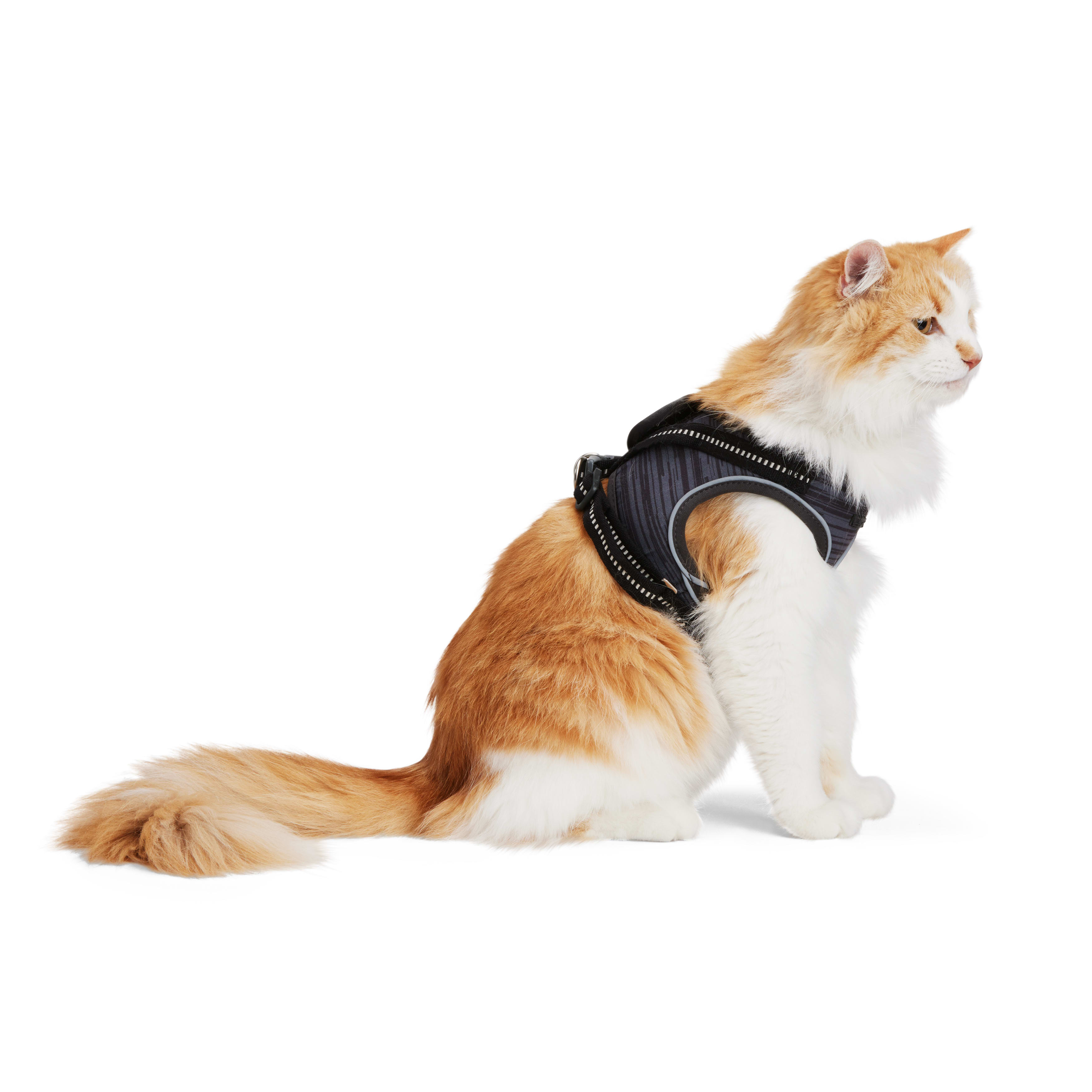 Reddy Grey Cat Harness Set， Small/Medium