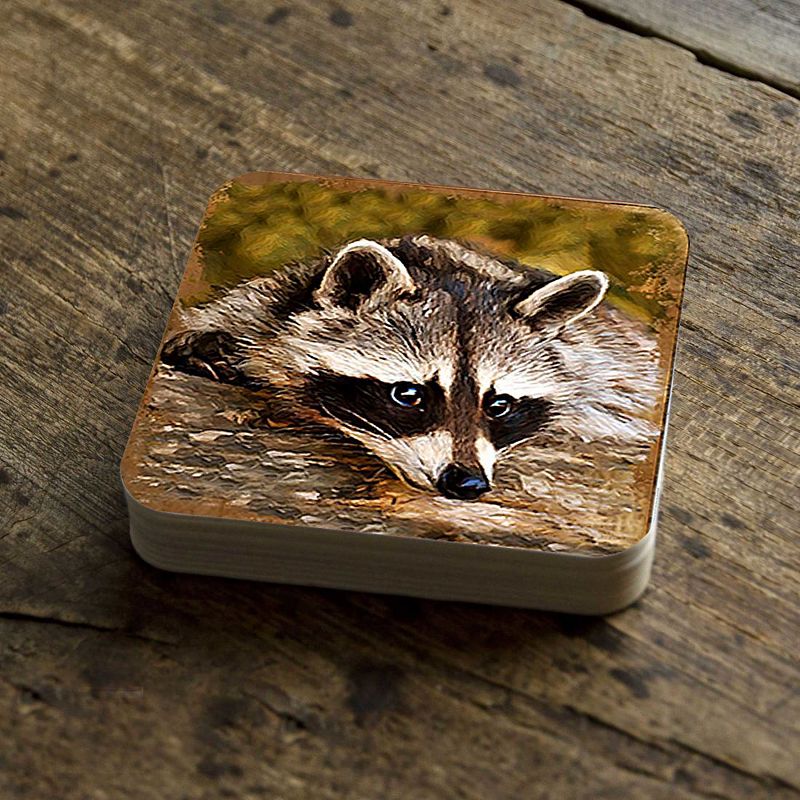 Raccoon Wooden Cork Coasters Gift Set of 4 by Nature Wonders