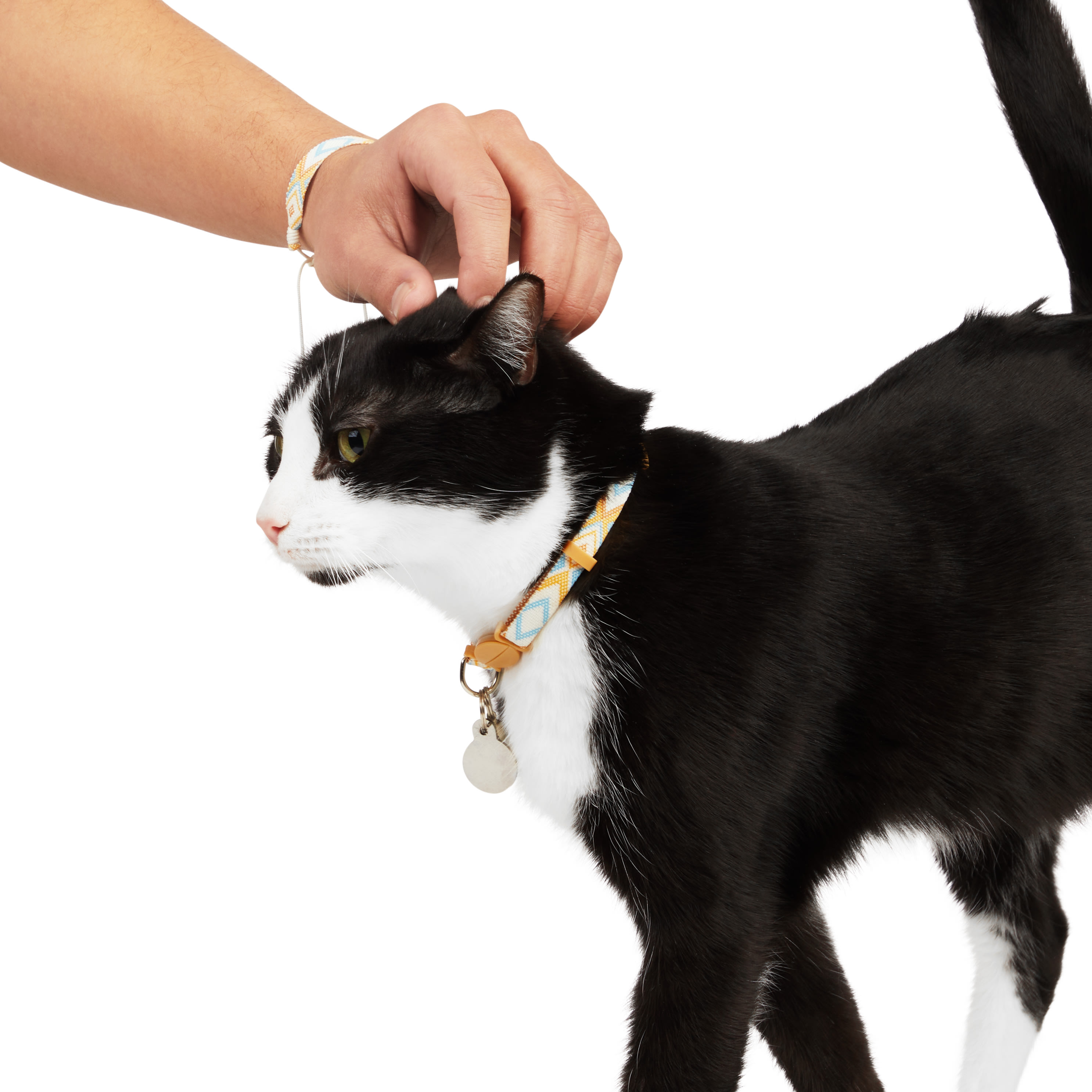 Youly Matching Friendship Bracelet and Collar for Cats