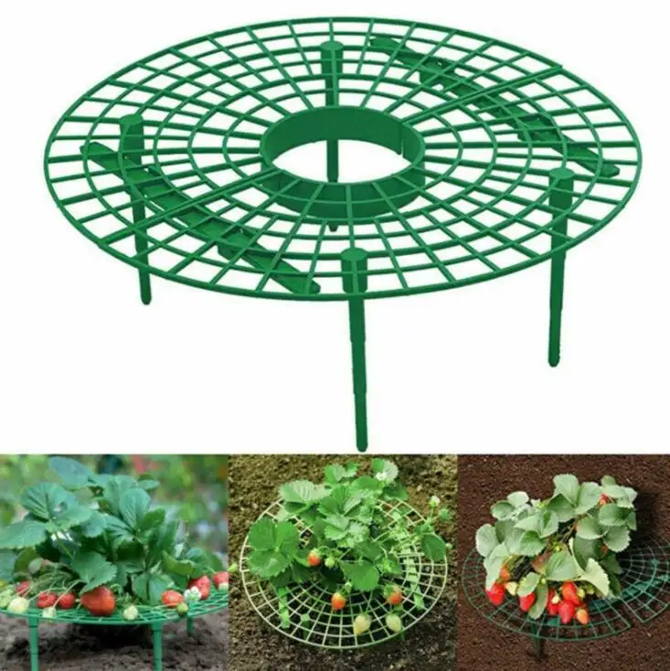 Strawberry Growing Rack Plastic Strawberry Support  Fruit Strawberry Stand Plant Climbing