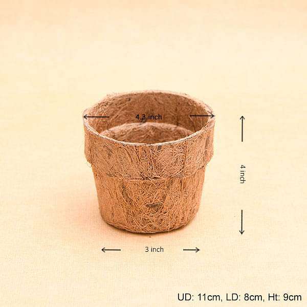 4.3 inch (11 cm) Coco Round Pot (Brown) (set of 6)