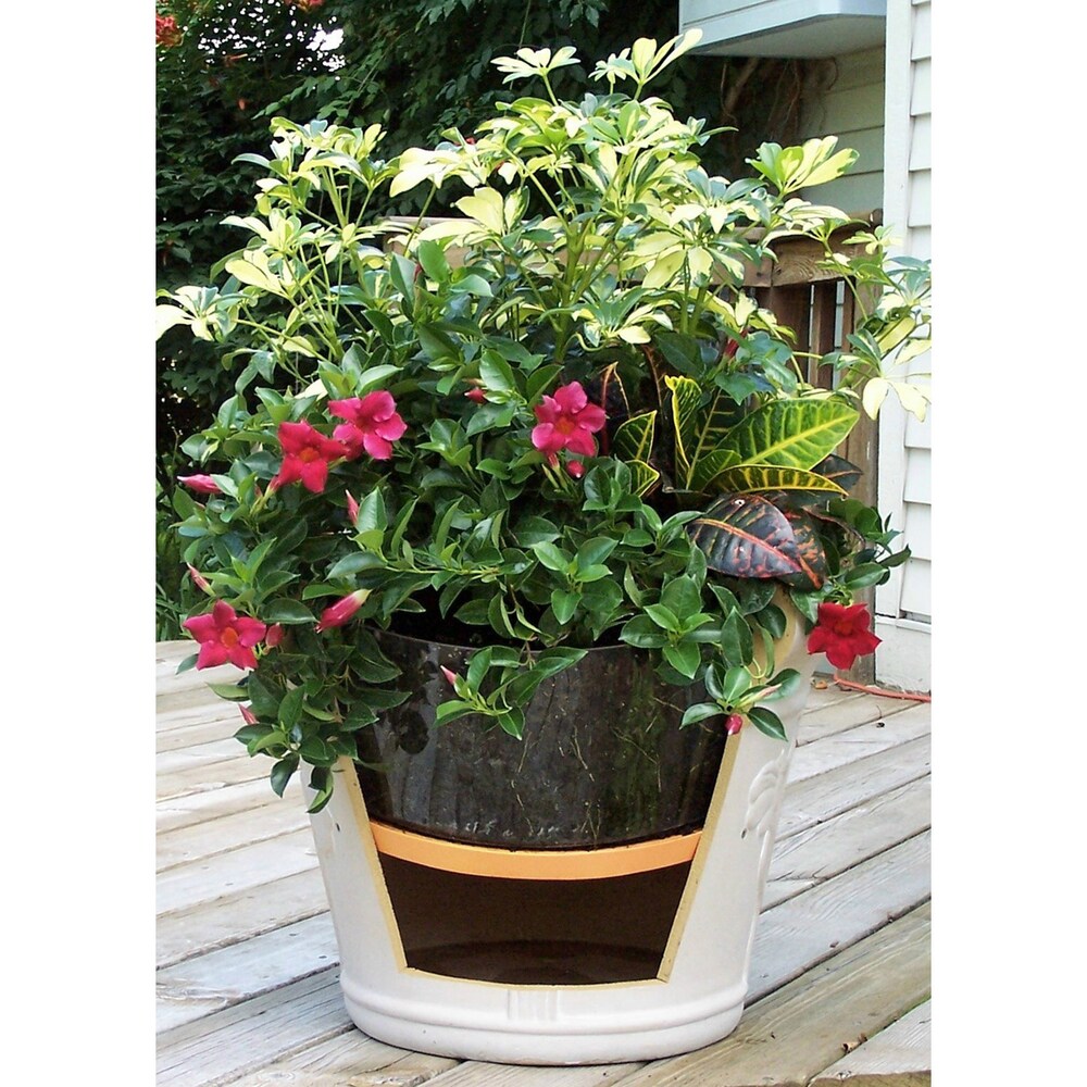 Bloem Ups A Daisy Round Planter Insert: 12\