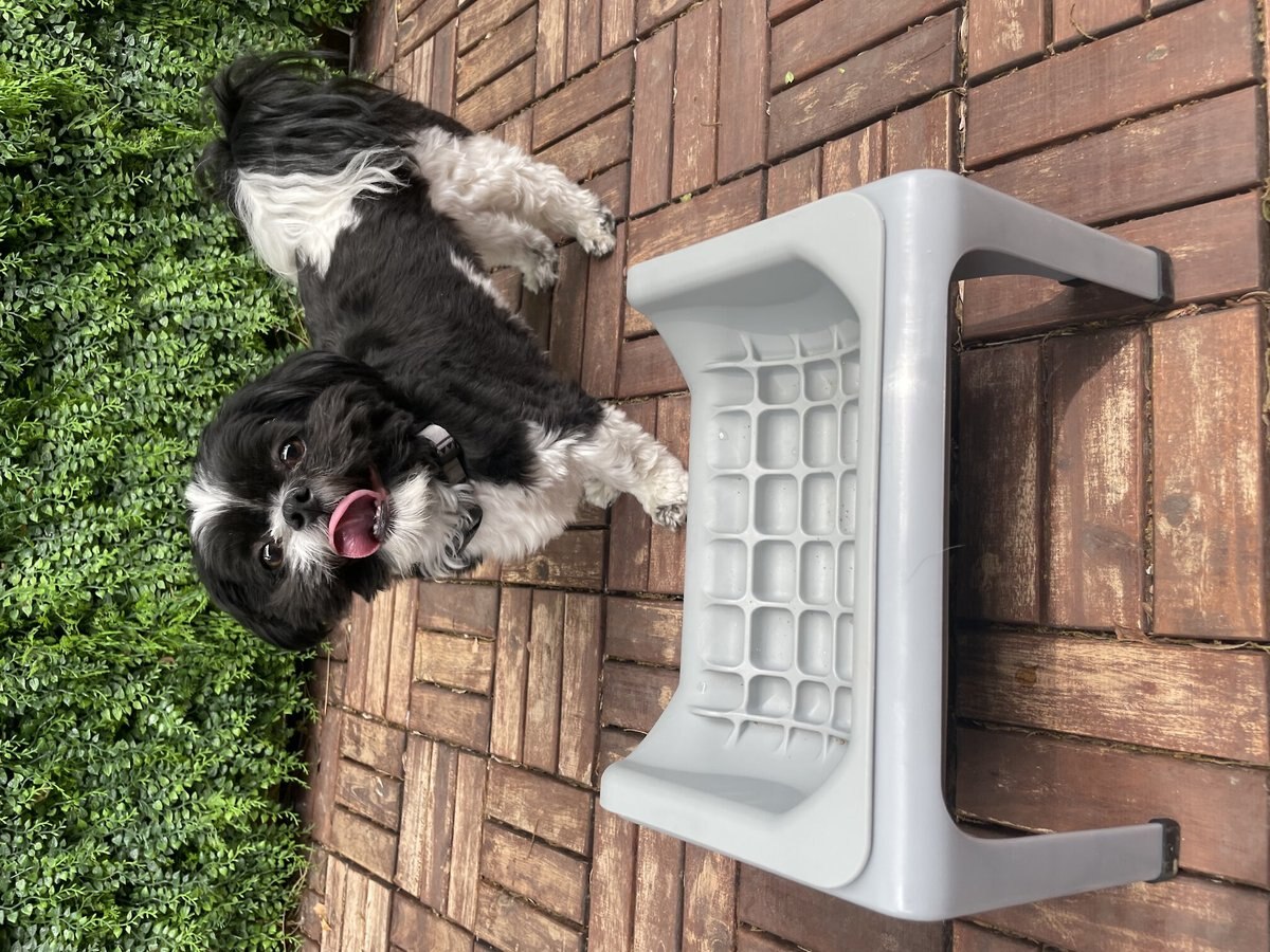 Fluff Trough Binge Blocker Elevated Dog and Cat Slow Feeder