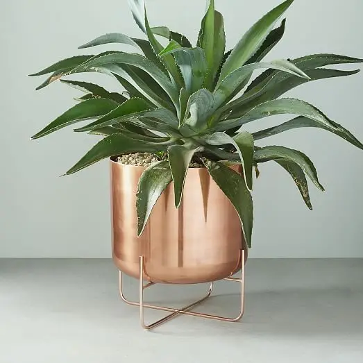 Planter Iron made Rose Gold Plated High Shinny Quality American Retro Planter Eco Friendly In Use Home Decors