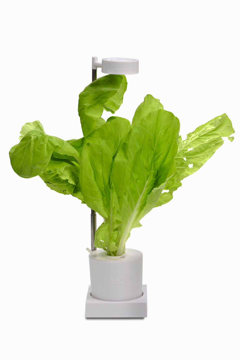 Leafy Desktop Hydroponics and Grow Light System