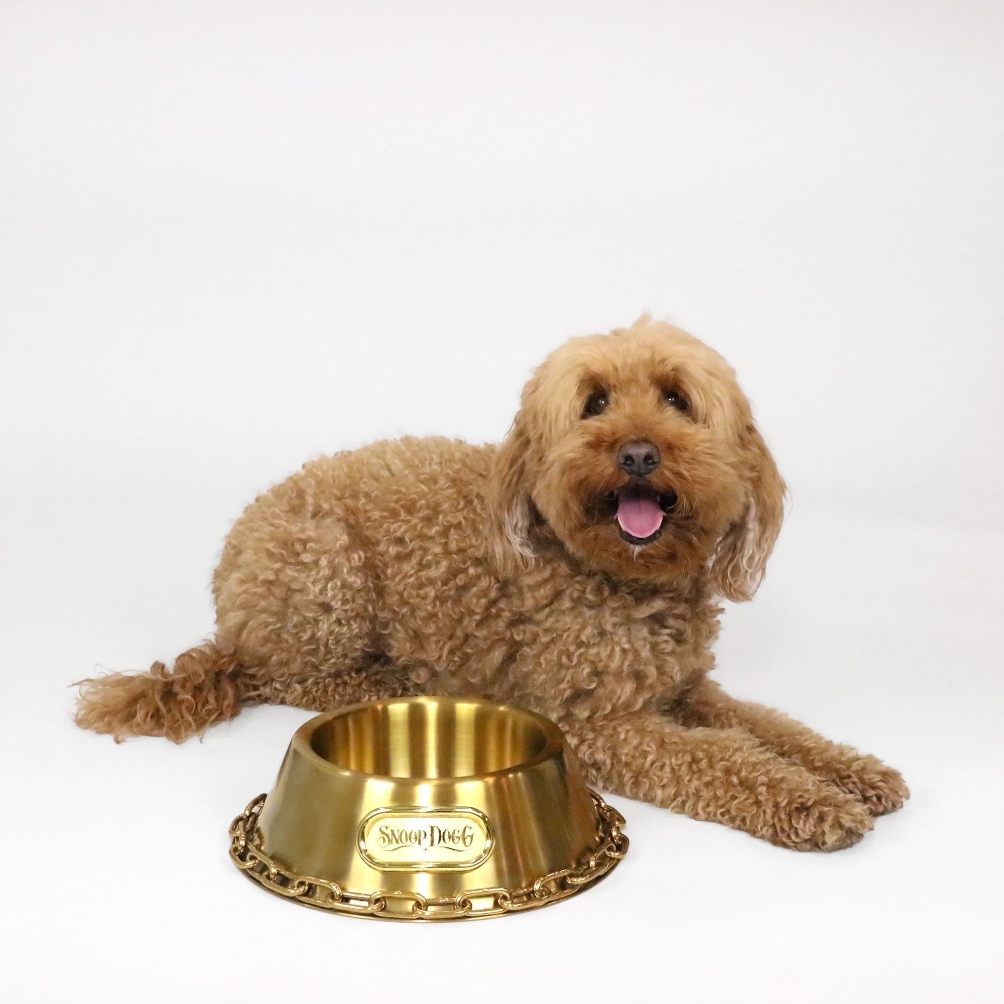 Snoop Doggie Doggs Off the Chain Deluxe Gold Pet Bowl， 1 Cup