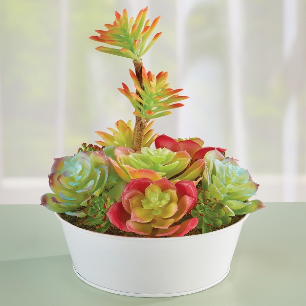 Collections Etc Faux Succulent Arrangement With White Pot Centerpiece 7 X 7 X 8