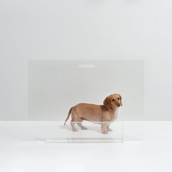 Hiddin Clear View Panel Freestanding Dog Gate