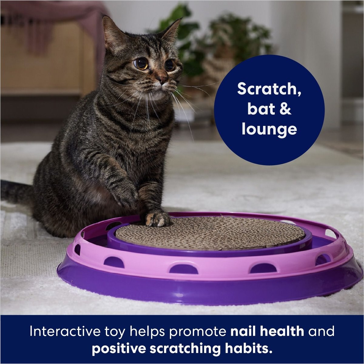 Frisco Scratch and Roll Scratcher Cat Toy with Catnip