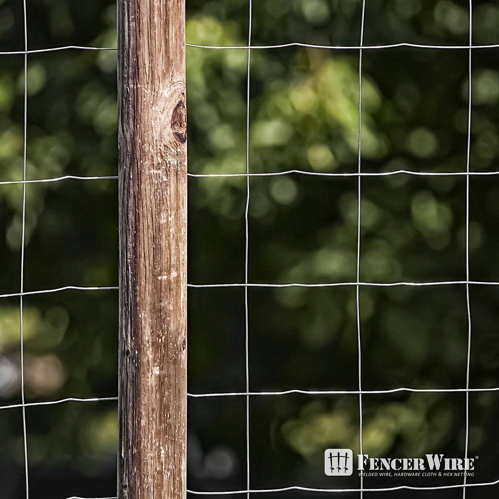 Fencer Wire 5 ft. x 100 ft. 16-Gauge Welded Wire Fence with 4 in. x 4 in. Mesh WB16-5X100M44