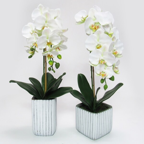 Cream White Artificial Phalaenopsis Orchid Flower Arrangement in Square Embossed Stripe Ceramic Pot 23in