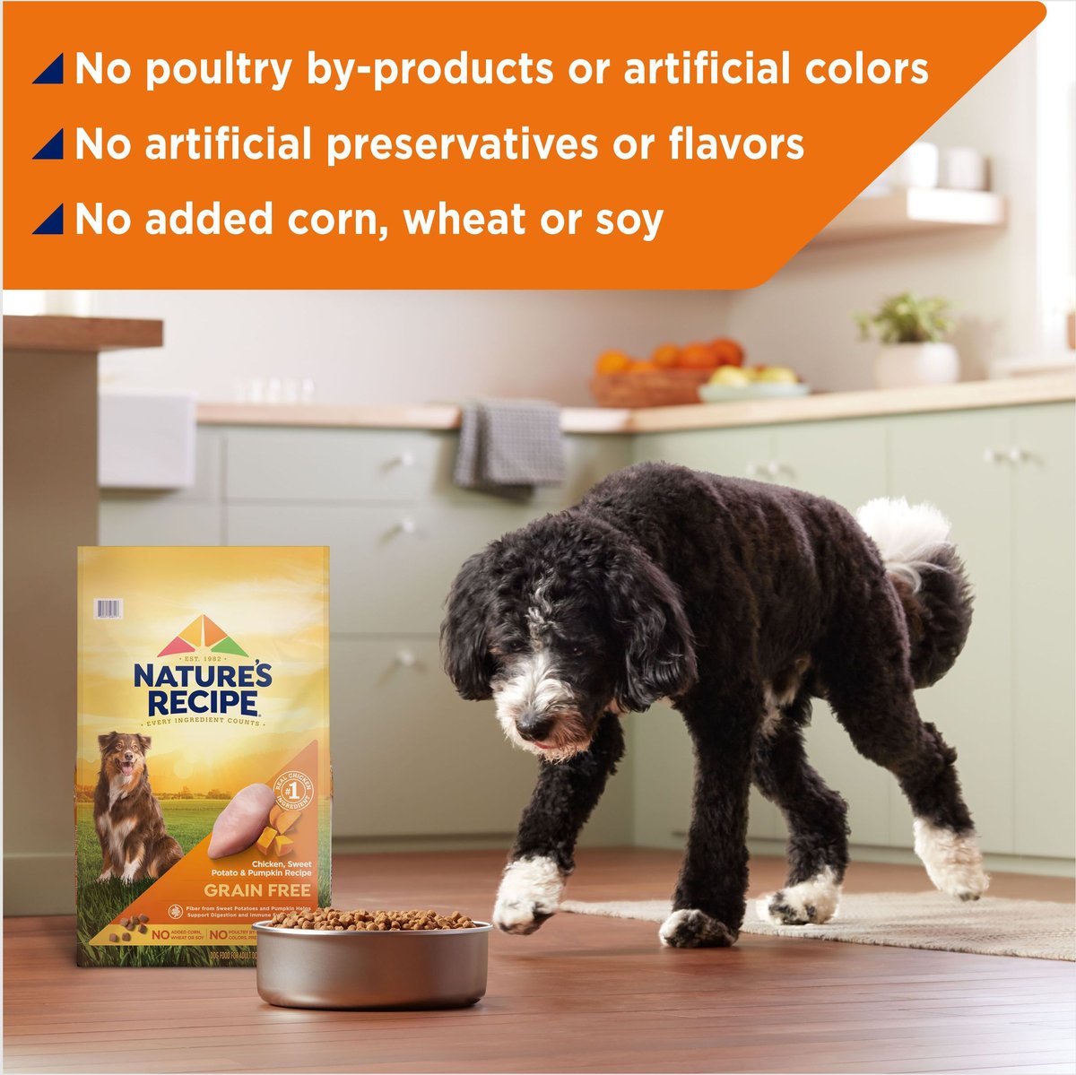 Nature's Recipe Grain-Free Chicken， Sweet Potato and Pumpkin Recipe Dry Dog Food