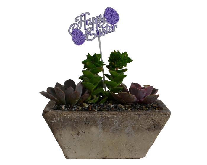 H  P Sales Happy Easter Succulent Garden in Rectangular Stoneware - 11477