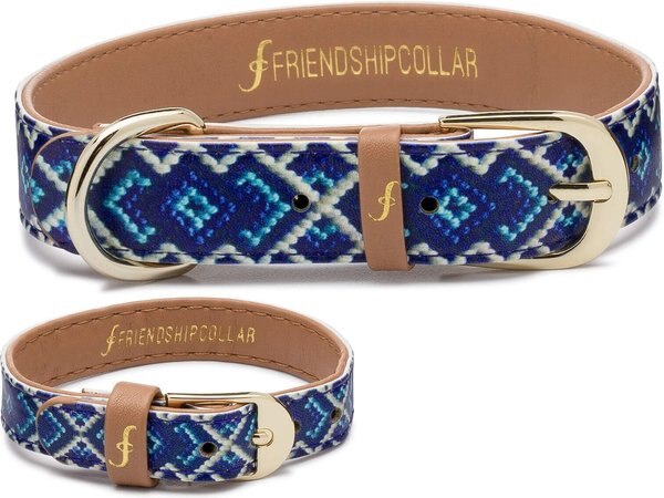 FriendshipCollar Mucky Pup Leather Dog Collar with Friendship Bracelet