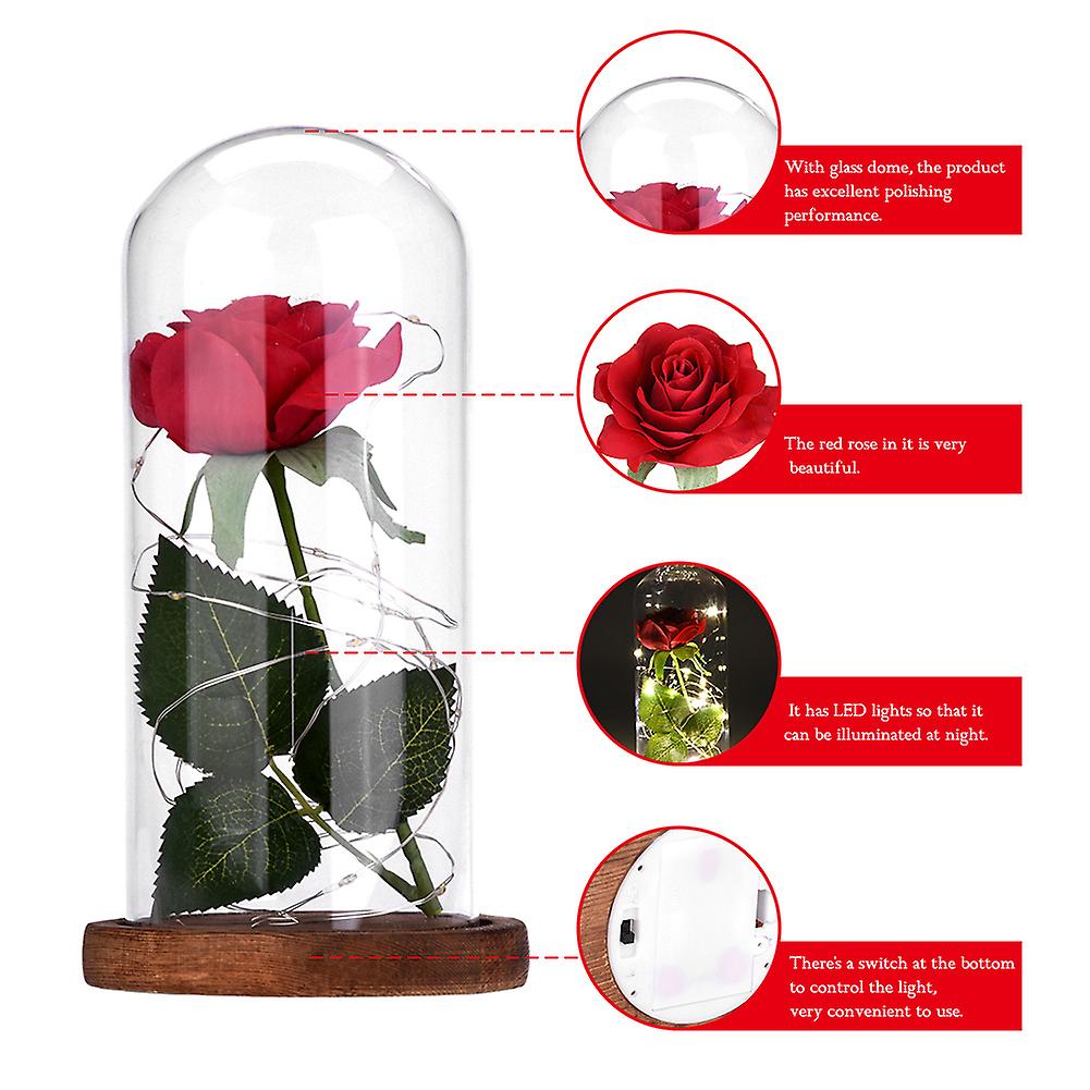 Red Rose Glass Dome LED Lamp Wooden Base for Birthday Wedding Gift (Brown Base)