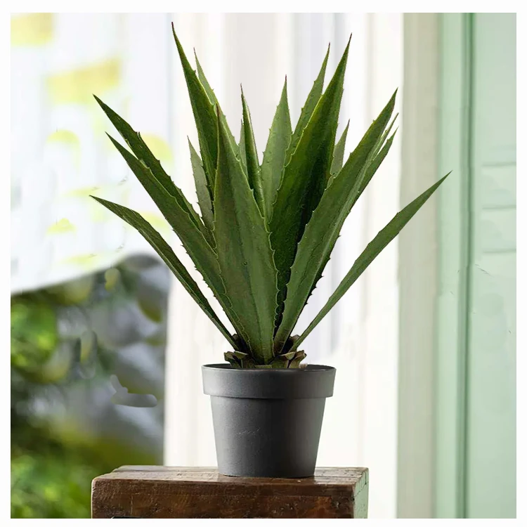 wholesale custom evergreen fake plants agave aloe vera  plant bonsai real touch home decor garden supplies