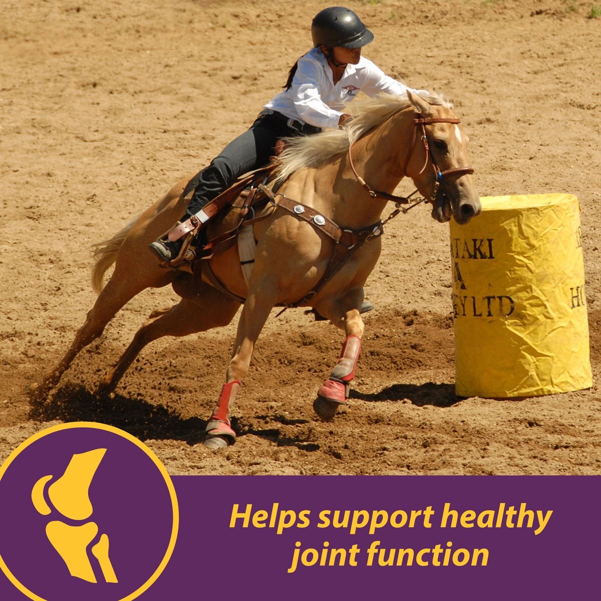 Horse Health Products Joint Combo Classic Pellets Horse Supplement