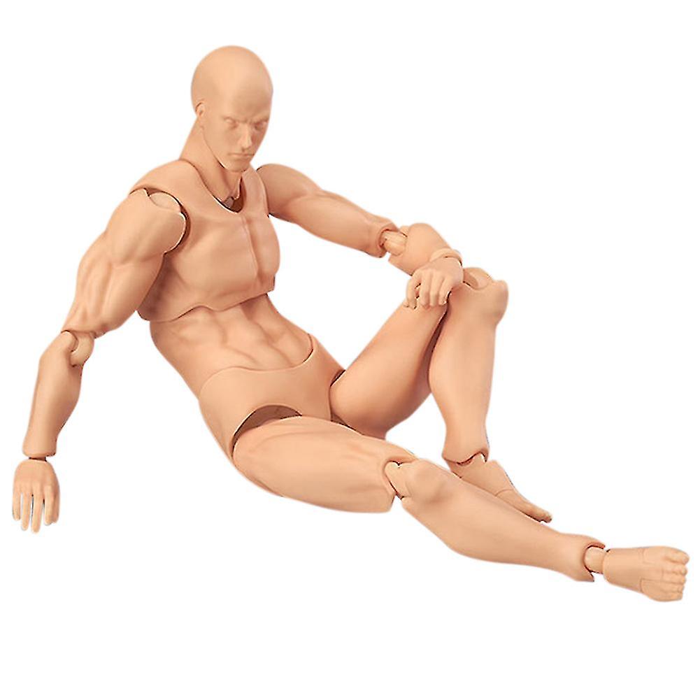 Articulated Mannequins Human Body Models PVC Movable Action Figure Models Gifts