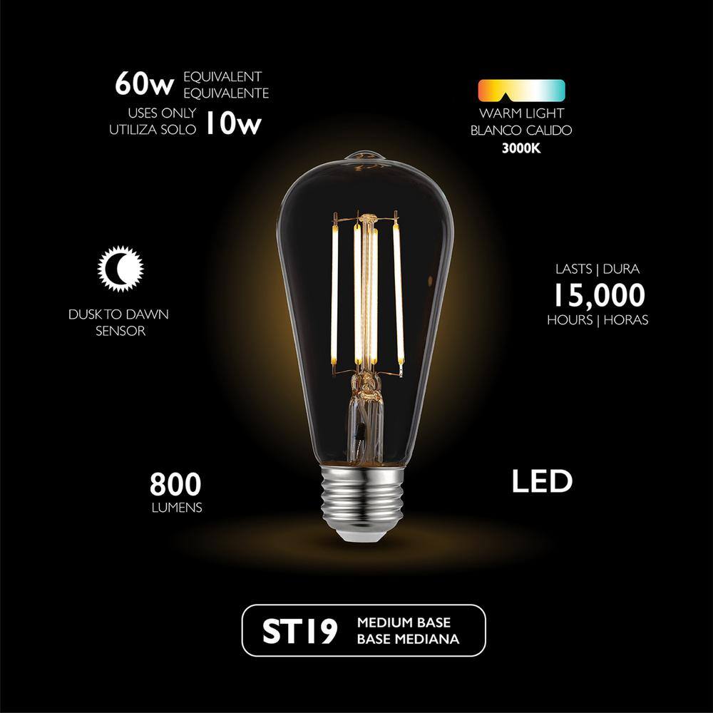 Globe Electric 60 Watt Equivalent ST19 Dimmable Straight Filament Dusk to Dawn Vintage Edison LED Light Bulb  Soft White Light 35687