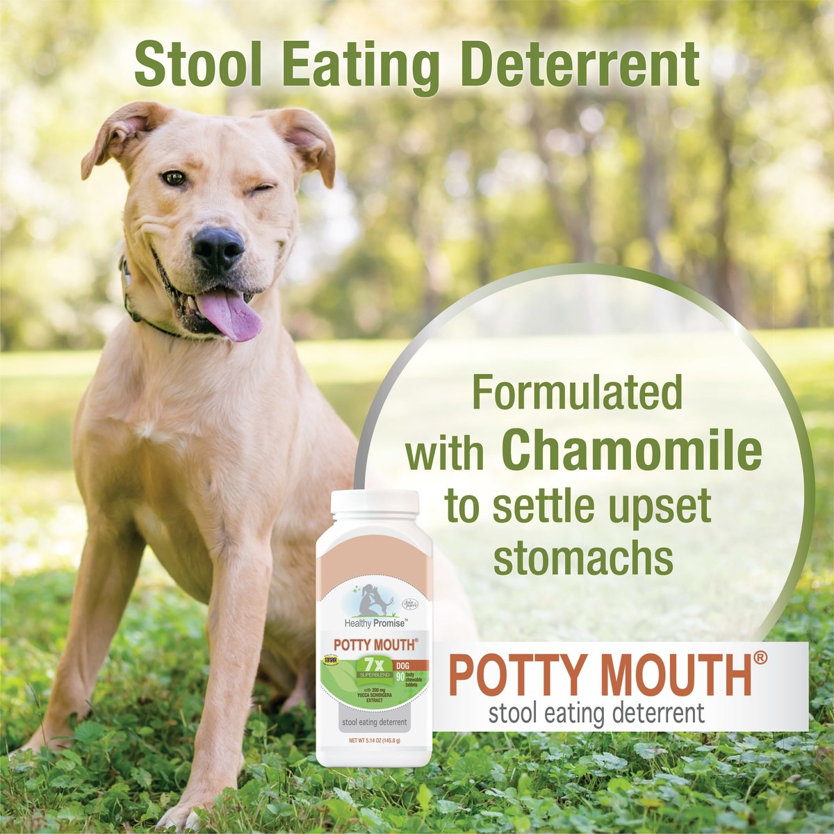 Four Paws Healthy Promise Potty Mouth Tablets Coprophagia Dog Stool Eating Deterrent， 90 count